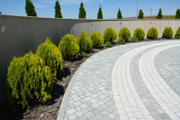 Best Decorative Driveway Pavers  in Scotts Valley, CA